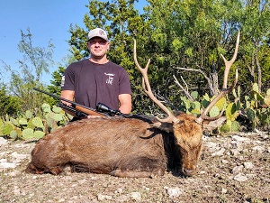 Sika deer hunting trips